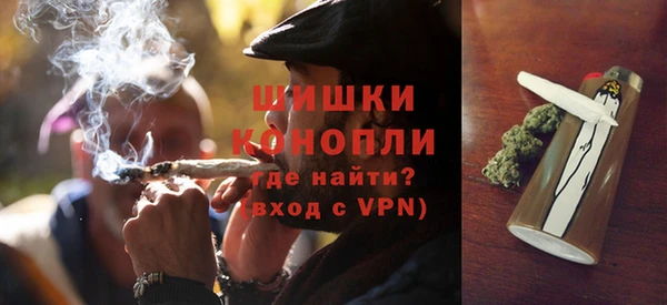 прущие грибы Армянск