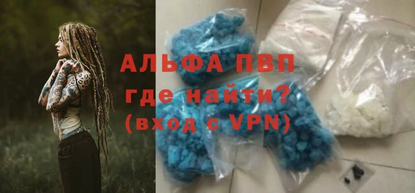 прущие грибы Армянск