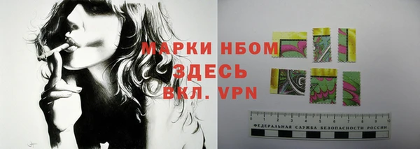 spice Аркадак