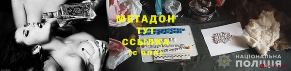 прущие грибы Армянск