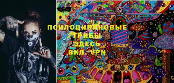spice Аркадак