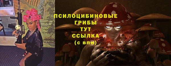 прущие грибы Армянск