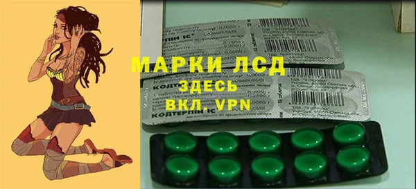 spice Аркадак